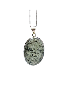 Oval Tree Agate Silver Necklace