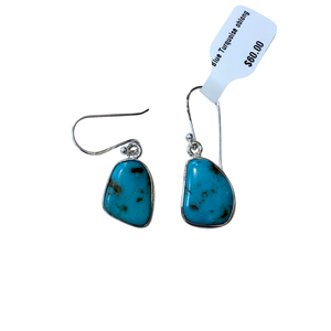 Blue Turquoise Oblong Silver Earrings