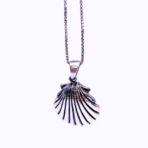 Silver shell Necklace