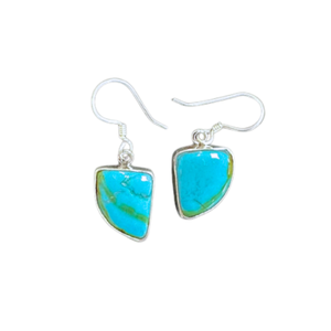 Turquoise Oblong Silver Earrings