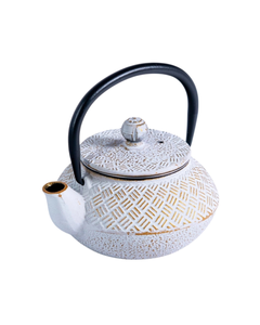 Cast Iron Tea Pot White