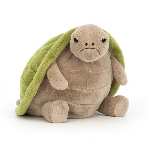 Timmy Turtle Timmy Turtle