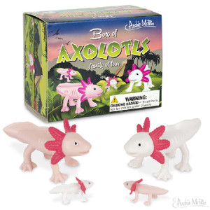 Box of Axolotls Box of Axolotls