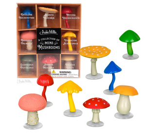 Mini Mushroom Collection Mini Mushroom Collection