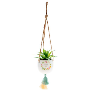 I Love You Hanging Succulent I Love You Hanging Succulent