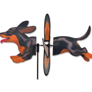Spinner - Black & Tan Dachshund