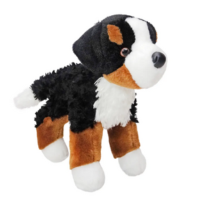 Miranda the Bernese Mountain Dog Miranda the Bernese Mountain Dog