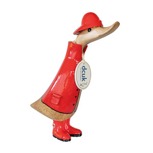 Duckling Wearing a Red Raincoat Duckling Wearing a Red Raincoat