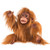 Baby Orangutan Puppet