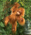 Baby Orangutan Puppet