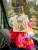 Be Kind To Everyone Air Freshener Be Kind To Everyone Air Freshener
