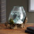 Molten Glass & Wood Sculpture ( 10")