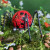 Spider Garden Holder Spider Garden Holder