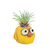 Chickie Planter