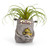 Angel Love Mama Monster Planter