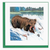 Quilled Wild Grizzly Bear Card