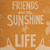 Friends Are The Sunshine Of Life Dish Towel