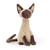 Iris Siamese Cat