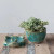 Planter With Frog Base