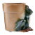 Stoneware Frog Planter
