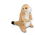 Digger Prairie Dog