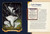 Little Book Of Mushrooms Little Book Of Mushrooms