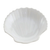 Shell Dish