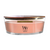 Ellipse Manuka Nectar Candle Ellipse Manuka Nectar Candle