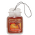 Ultimate Spice Pumpkin Jar Car Air Freshener