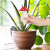 Self Watering Mushroom Planter Self Watering Mushroom Planter