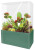 Fascinating Flytraps Square Terrarium