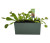Fascinating Flytraps Square Terrarium