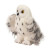 Wizard Snowy Owl Wizard Snowy Owl