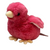 Pink Chick Pink Chick
