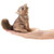 Mini Coyote Finger Puppet
