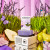 Bar Soap - Lavender Fields Forever Bar Soap - Lavender Fields Forever