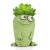 Orville Frog Planter