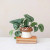 Stoneware Mushroom Planter Stoneware Mushroom Planter