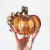 Squat Pumpkin Classic Dark Orange