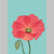 Poppy on Blue Blank Card