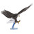 American Bald Eagle Metal Model Kit
