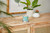 Small Tumbler Bahama Breeze Candle
