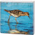 Mini Shore Bird Sign