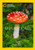 National Mushroom Postcards