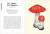 Mushroom Miscellany Book