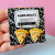 Pizza Stainless Earrings
