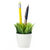 Grass Potted Pen Stand