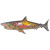 Scuba Shark Shelf Sitter
