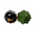 Black Bear Ceramic Salt and Pepper Shaker Set