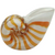 Shell Orange Stripe Plant Holder